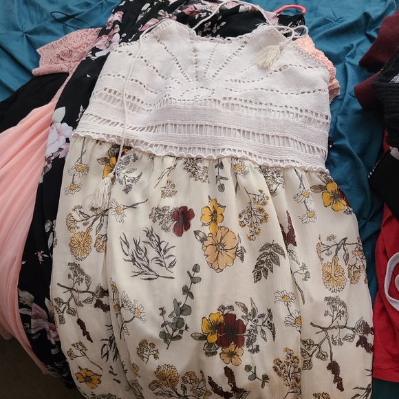 Early Spring Cleaning - Picture 3 of 3